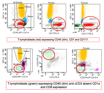 Flow Cytometry of Peripheral Blood